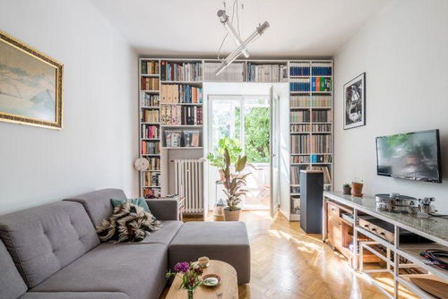 藝術(shù)設(shè)計,55㎡波蘭白色經(jīng)典