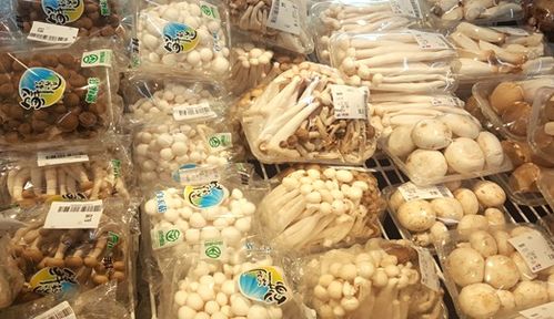 平菇生產(chǎn)技術(shù)規(guī)程征求意見(jiàn) 助推安徽食用菌產(chǎn)業(yè)高質(zhì)量發(fā)展