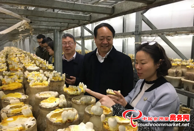 食用菌菌種創(chuàng)新與產(chǎn)業(yè)升級(jí) 上海農(nóng)科院食用菌研究所調(diào)研河南世紀(jì)香產(chǎn)業(yè)園紀(jì)實(shí)